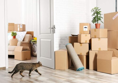 Unconventional Packing Methods: Creative Ways to Pack Your Belongings for a Move from Boston to New Bedford