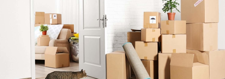 Unconventional Packing Methods: Creative Ways to Pack Your Belongings for a Move from Boston to New Bedford