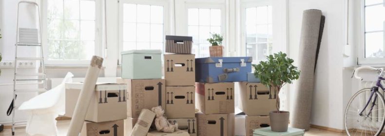 Moving from Boston to Springfield at Different Life Stages: Specifics and Challenges