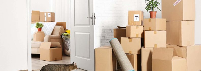 Social Adaptation After Moving: How to Quickly Integrate Into a New Social Environment