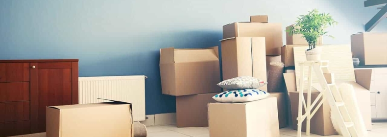 Career Relocation in U.S.: Cultural & Economic Guide