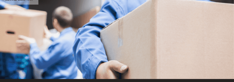 Beyond the City: Boston’s Best Suburbs Unveiled