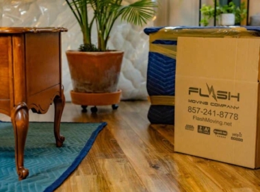 How to move and pack plants